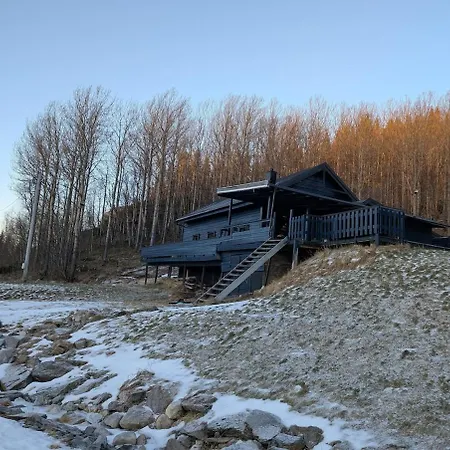 In Juvika